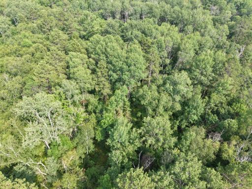 22034 County 2, Nevis, MN 56467