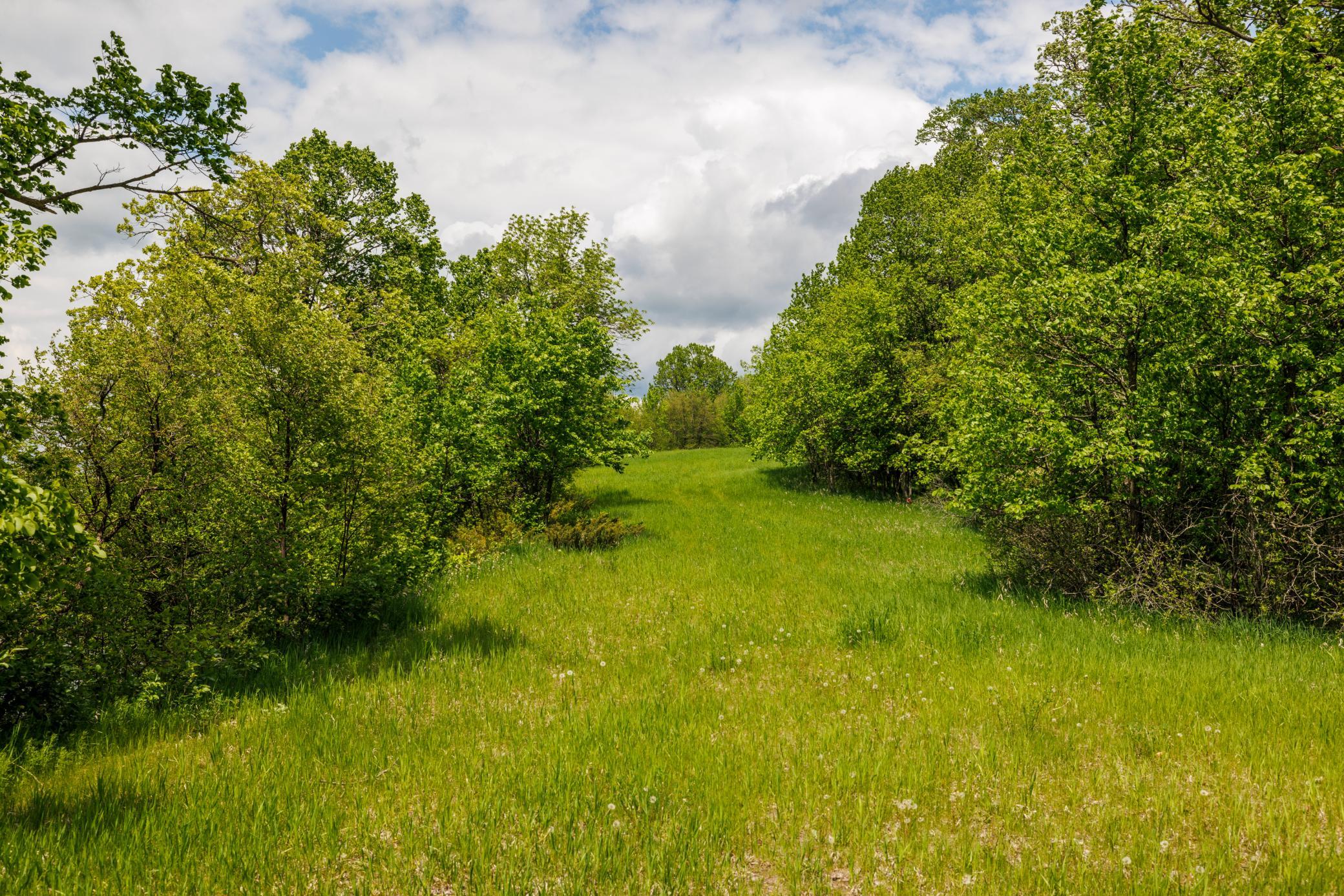 Amdak_Smith Lake Lot-22.jpg