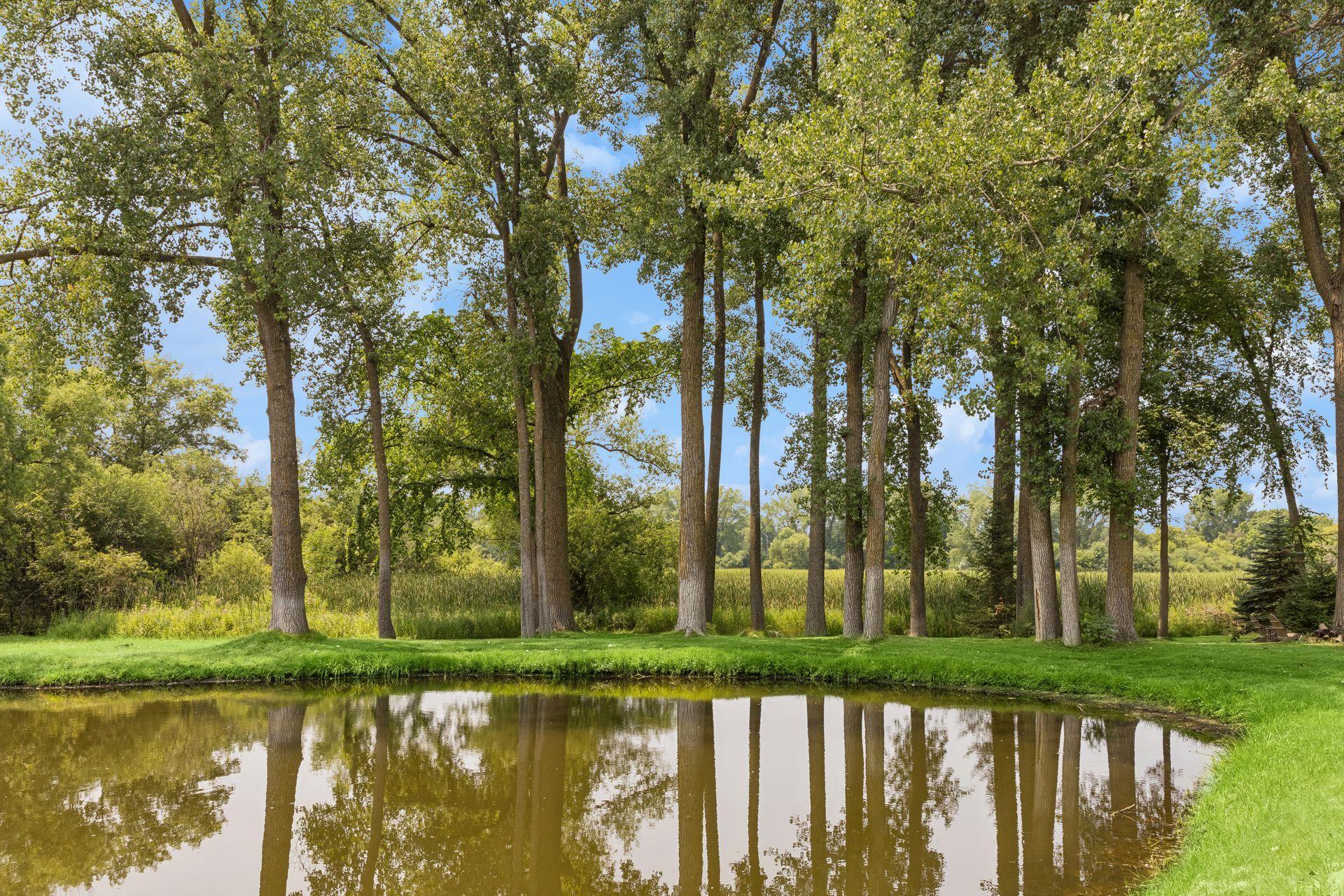 The city of Shorewood owns the open and vast marsh property that abuts the property behind.