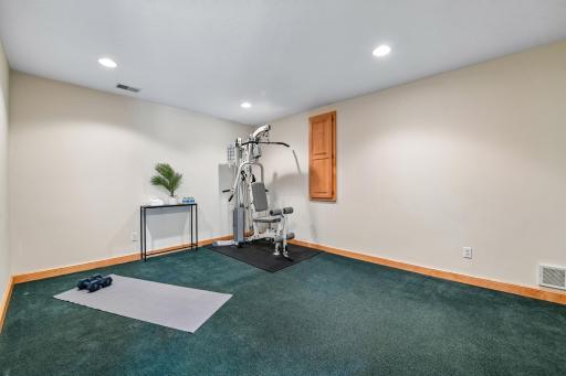 Lower level Flex Room (the Home Gym Equipment piece shown can be written into the buyers offer.