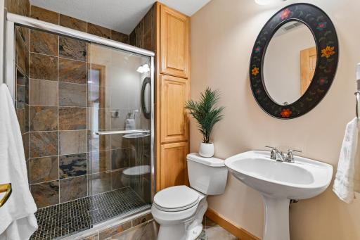 Lower Level bathroom with nice storage