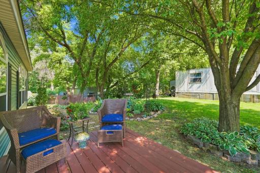Lush landscaping dots sun-dappled front yard.