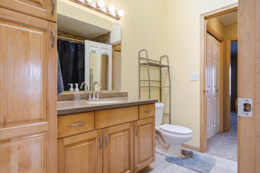 Upper level Hollywood Bathroom offers access to Primary, large linen cabinet, full tub & skylight