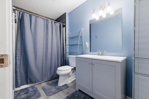 Lower level Full Bathroom