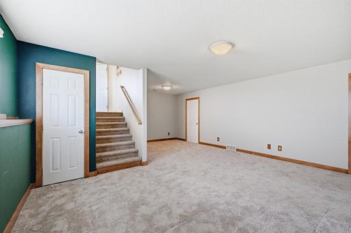 Lower level Family Room