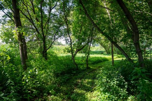 Trail Around Perimeter of Property