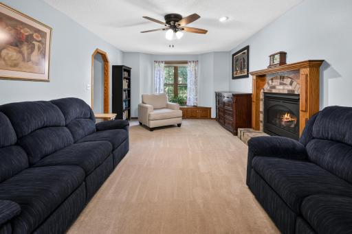 Main Level Living Room w Fireplace