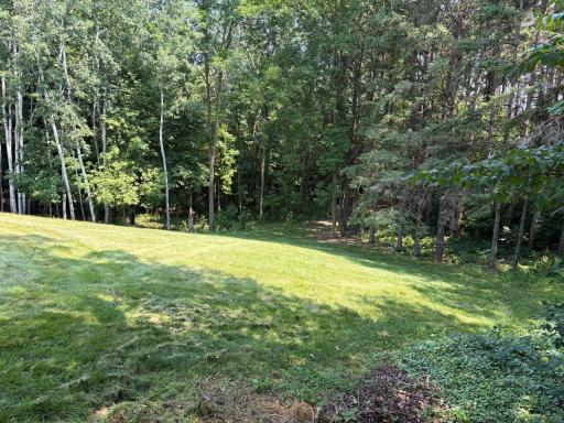 4325 Acorn Road, Burtrum, MN 56318