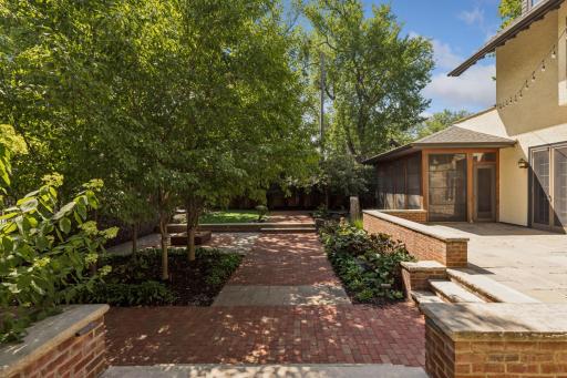 Tree Covered Courtyard