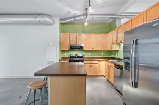 720 4th Street N, 310, Minneapolis, MN 55401