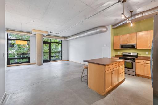 720 4th Street N, 310, Minneapolis, MN 55401