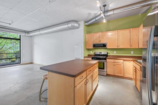 720 4th Street N, 310, Minneapolis, MN 55401