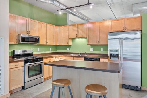 720 4th Street N, 310, Minneapolis, MN 55401