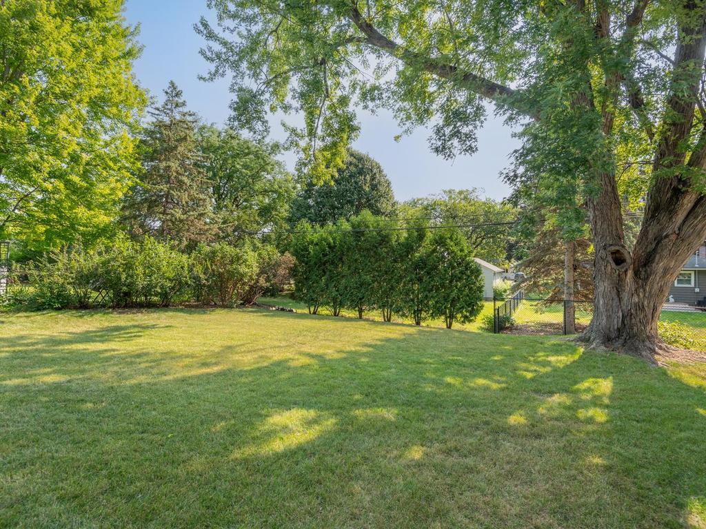 peaceful back yard.jpg