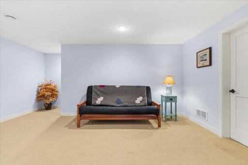 Lower Level Family Room