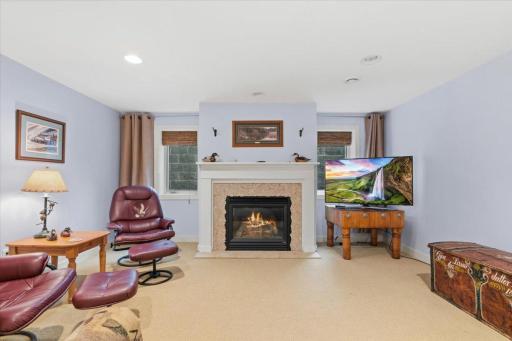 Lower Level Family Room