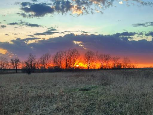 Evening stroll sunset photo