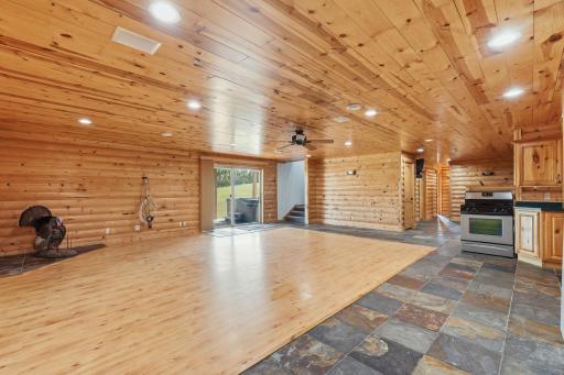 Lower level family room