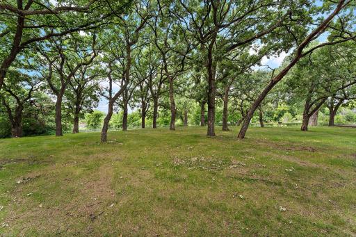 Plaza Park features green space with many mature trees.