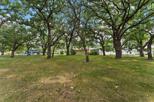 The home is located adjacent to Plaza Park. The back of the property with the fenced in backyard is seen through the park trees on the right.