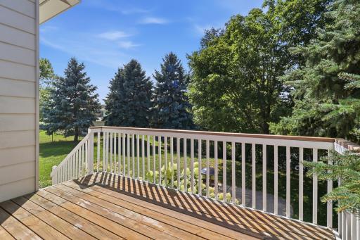 15485 Darjeeling Path, Rosemount, MN 55068