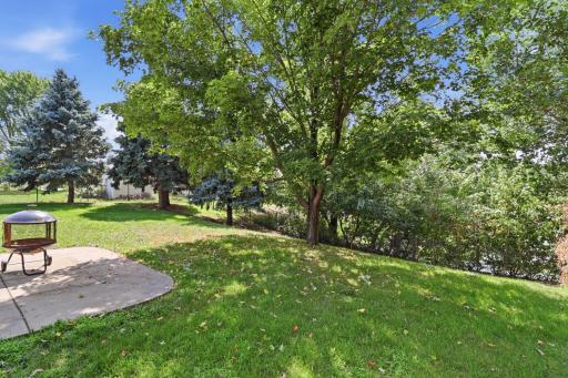15485 Darjeeling Path, Rosemount, MN 55068