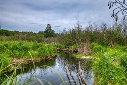 39332 Orchid Trail, Bemidji, MN 56461