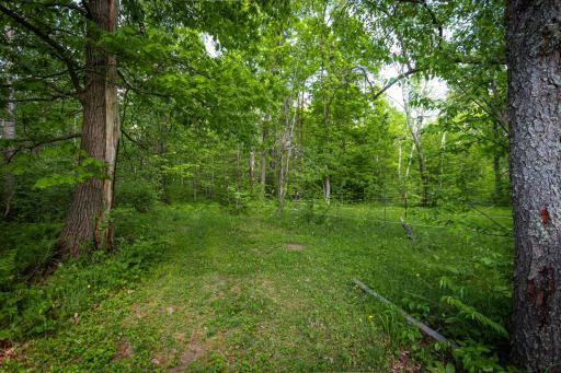 43522 US 71, Bemidji, MN 56461