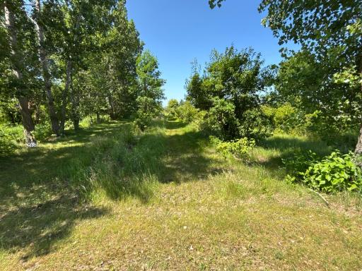 45225 State Highway 28, Morris, MN 56267