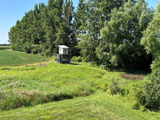 45225 State Highway 28, Morris, MN 56267