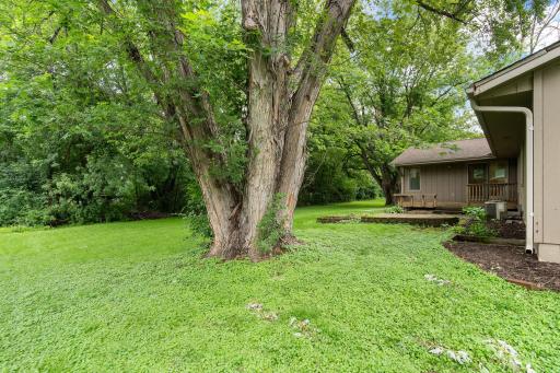33-web-or-mls-18510-25th-ave-n.jpg