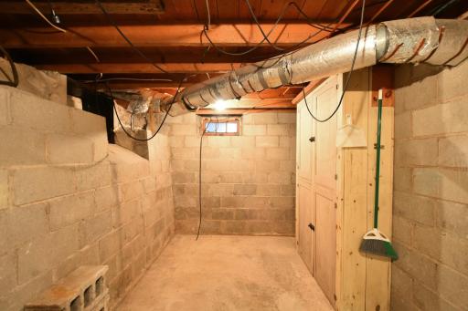 abundant storage space in basement