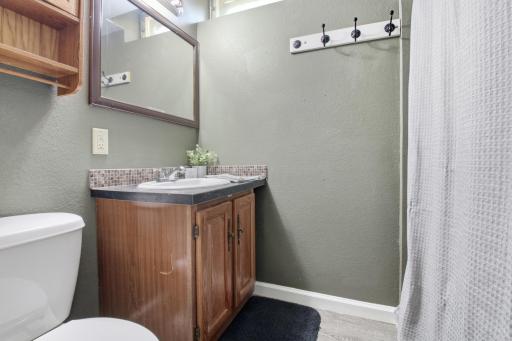 Bathroom in the lower level Shower.jpg