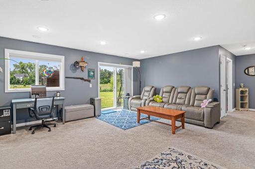 Lower level Family room