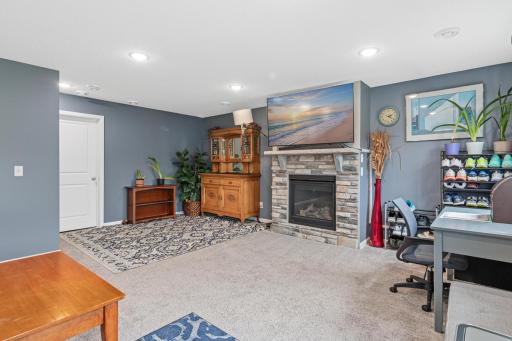 Lower level Family room