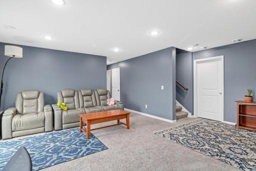 Lower level Family room
