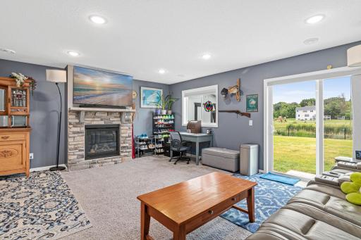 Lower level Family room
