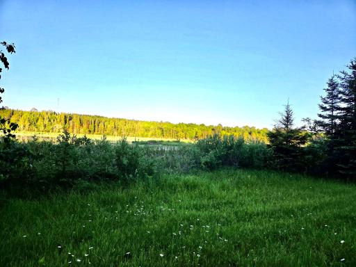 TBD 190th Street, Bagley, MN 56621