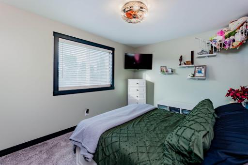 20193 Cassidy Lane, Audubon, MN 56511