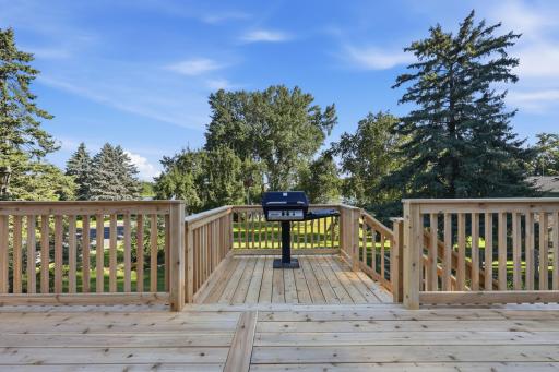 620 Maple Street, Dassel, MN 55325