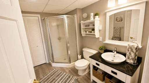 Basement Bathroom.png