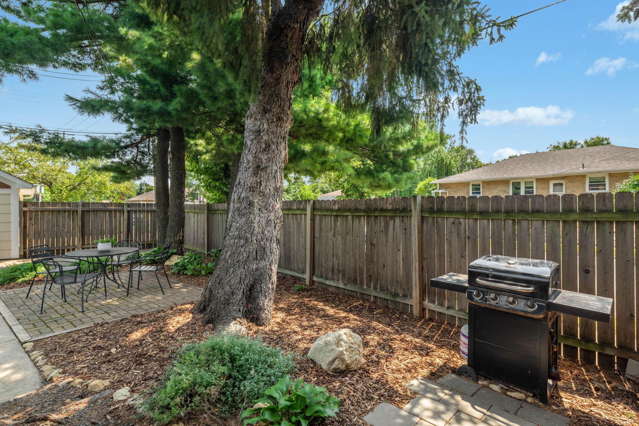 Grilling nook area. Wonderful and majestic trees.
