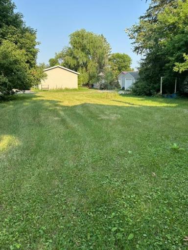 backyard.jpeg