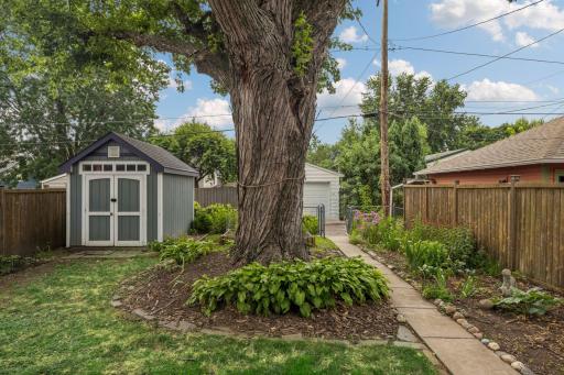 View of backyard landscaping.