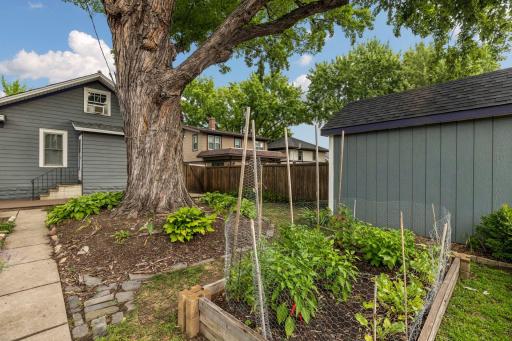 Raised garden bed can be found behind the tree!