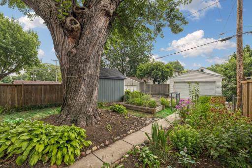 View of backyard landscaping.