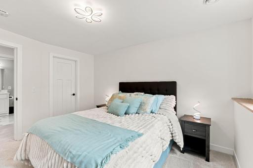 Basement bedroom with walk in closet