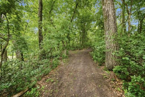 Walking Trail.jpg