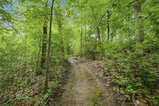 Trail.jpg
