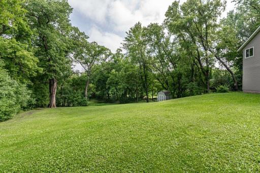 Back Yard.jpg
